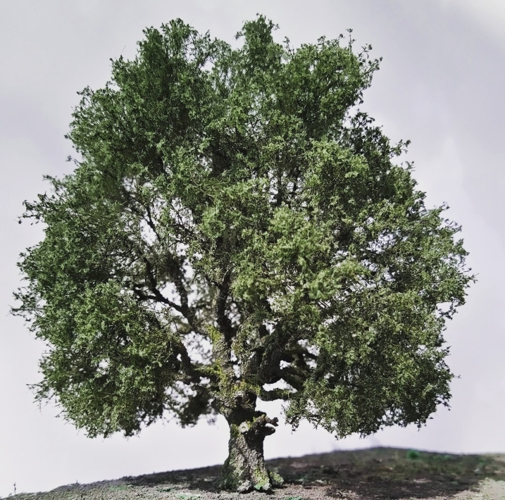 alte Eiche SA5a, 12cm, Spur N